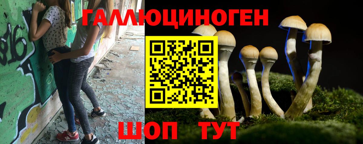 Галлюциногенные грибы мицелий  Вход с VPN  Славянск-на-Кубани 